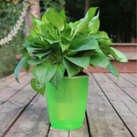 Strongwell Nordic Hydroponics Flower Pot Fairy Garden (Option: Green-18)